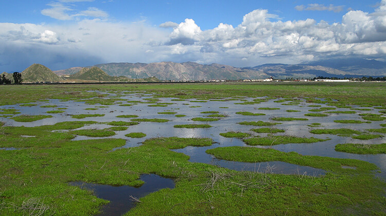 Upper Salt Creek Reserve