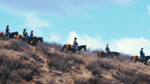 A group travels along a trail near Diamond Valley Lake on horseback