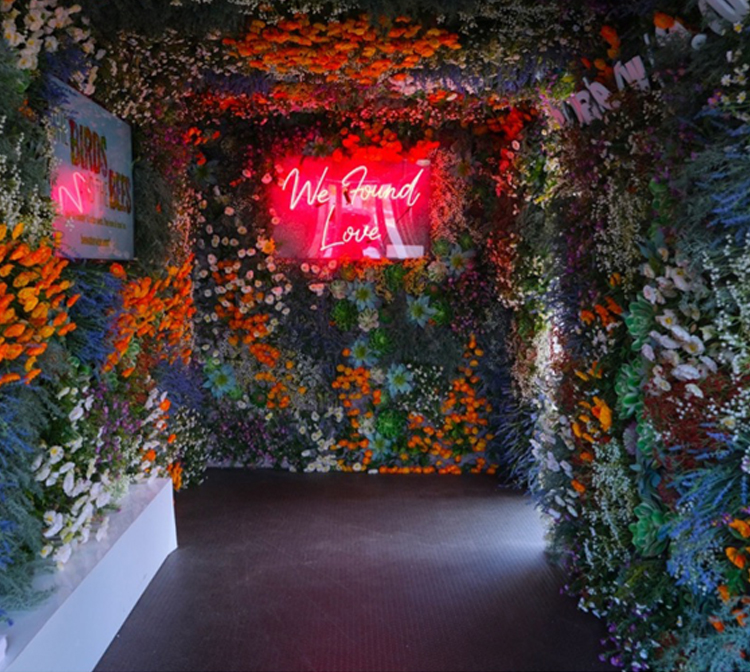 Photo of inside our Bloom Box